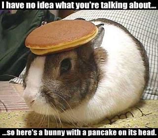 Pancake Bunny Picture